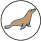 clara Database technology